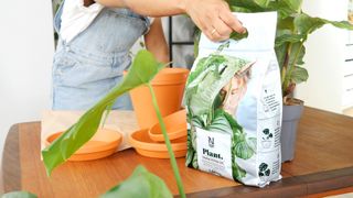 Premium Blomjord 4L Plant - Nelson Garden