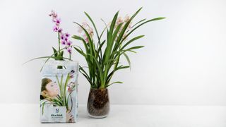 Orkidéjord 4L Orchid - Nelson Garden