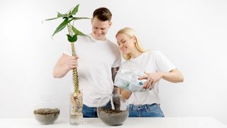 Lecakulor 4L - Jordförbättring - Nelson Garden