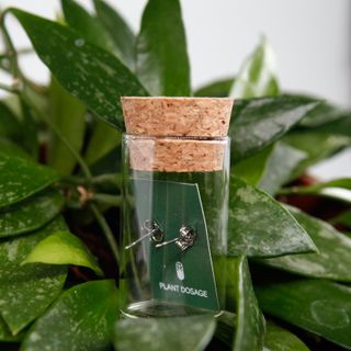 Örhängen Monstera Albo-Thai blad