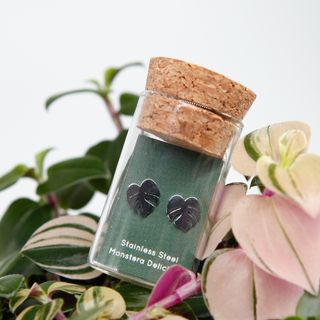 Örhängen Monstera Deliciosa blad