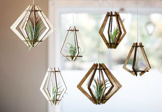 Tillandsiahållare kantig 3-pack