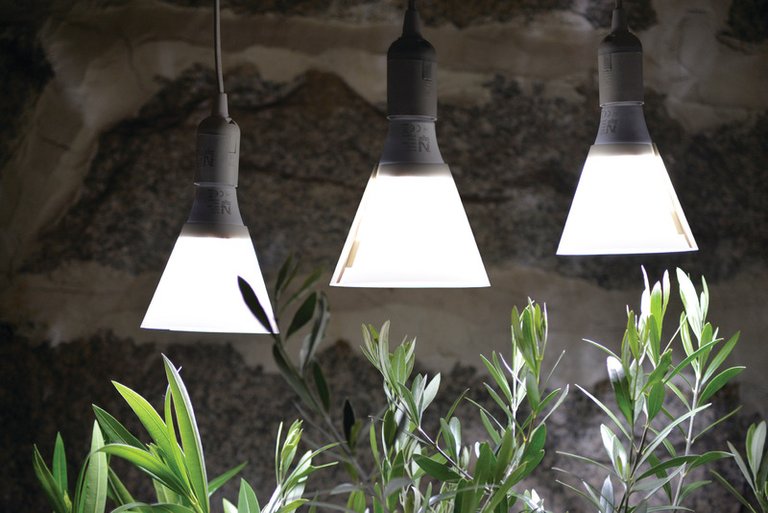 Nelson Garden Växtlampa LED 15 W med skärm E27