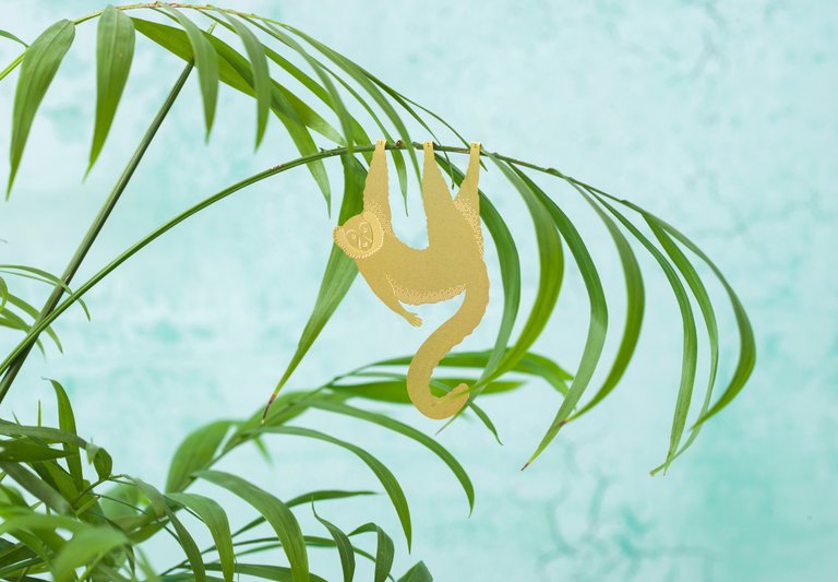 Växtdjur Lemur