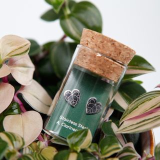 Anthurium Clarinervium örhängen