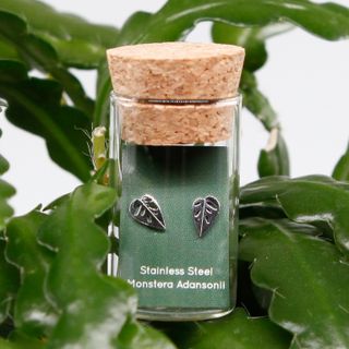 Monstera Adansonii örhängen