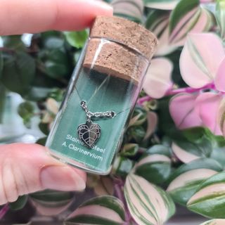 Anthurium Clarinervium armband