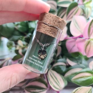 Monstera Deliciosa halsband