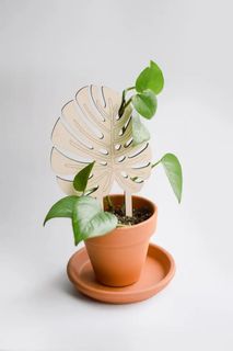 Växtstöd Monstera