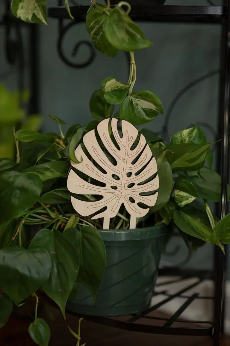Växtstöd Monstera i trä