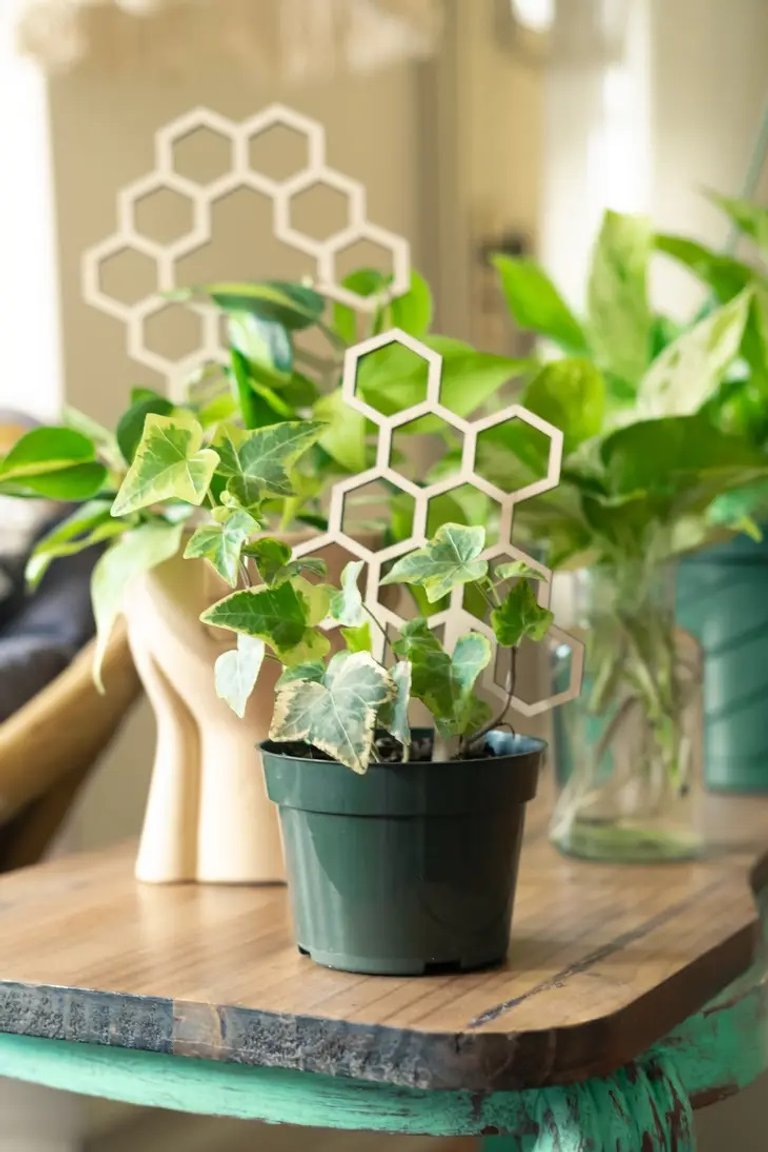 Växtstöd Honeycomb liten i trä