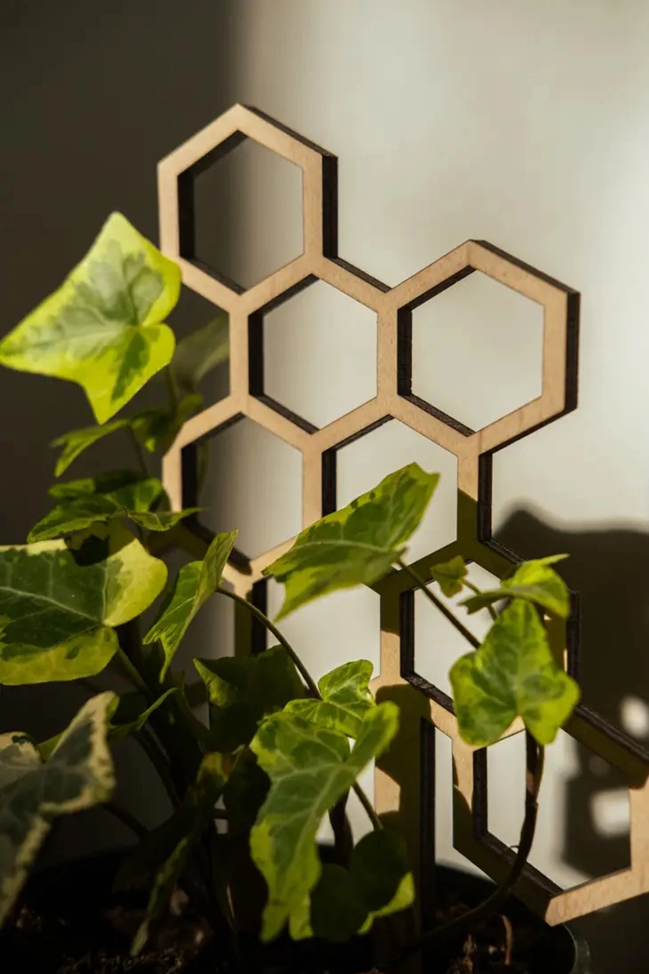Honeycomb växtstöd i trä som dekorativt stöd för klätterväxter
