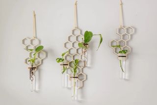 Sticklingsstation Honeycomb liten