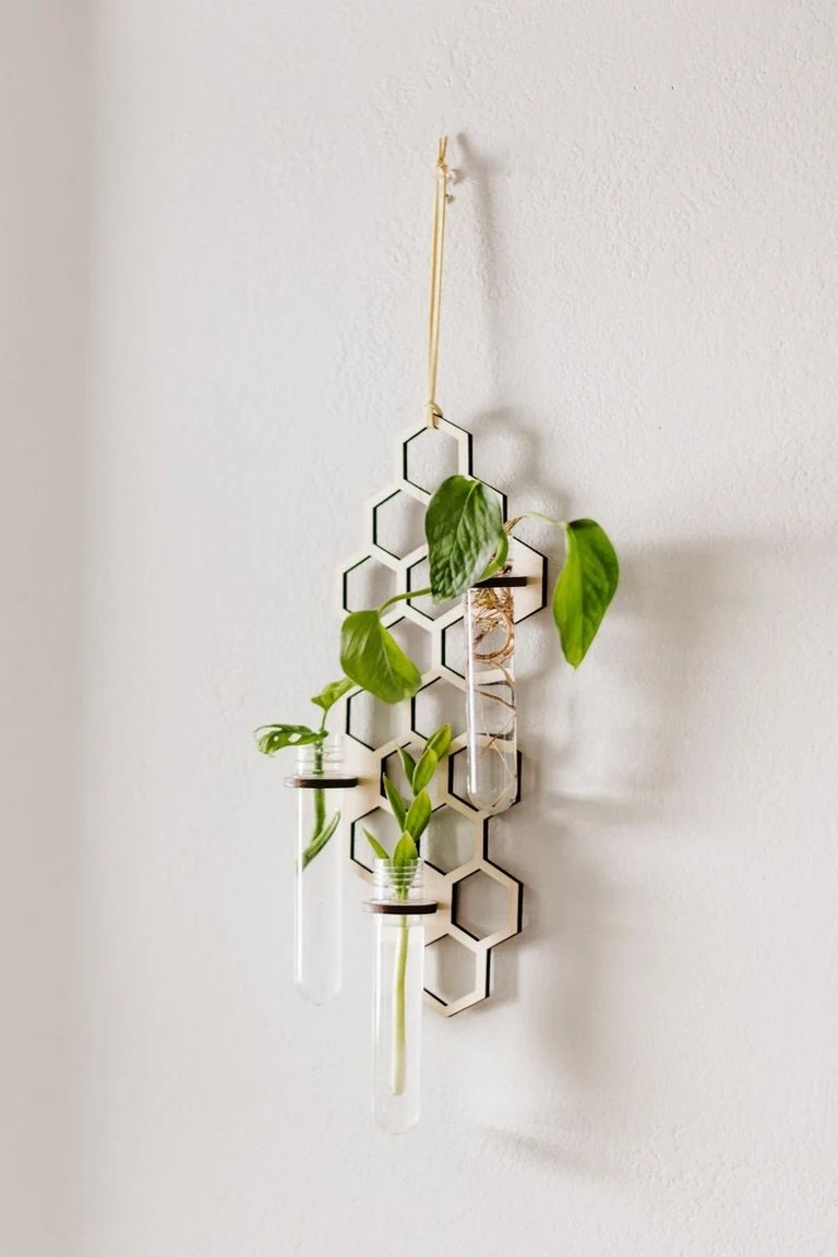 Sticklingsstation Honeycomb mellan