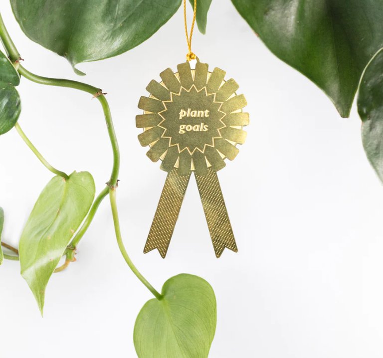 Plant Goals – prisrosett i mässing för krukväxter