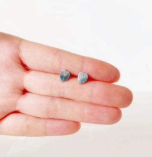 Örhängen Philodendron gloriosum blad