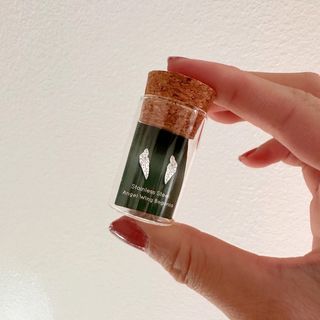 Begonia Angelwings örhängen