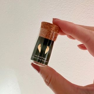 Begonia Angelwings guldörhängen