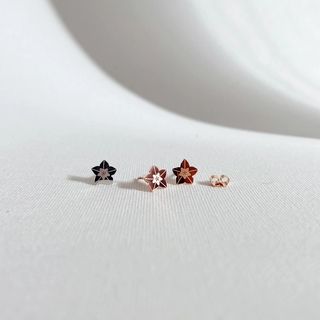 Hoya blommor örhängen