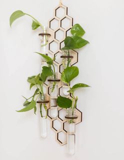 Sticklingsstation Honeycomb stor