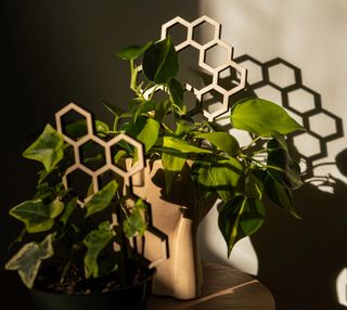 Växtstöd Honeycomb liten