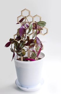 Växtstöd Honeycomb mellan