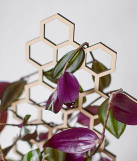 Växtstöd Honeycomb mellan