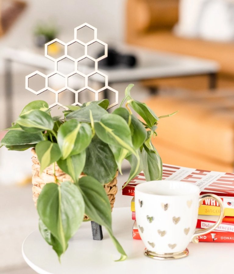 Växtstöd Honeycomb mellan i trä