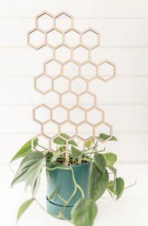 Växtstöd Honeycomb stor