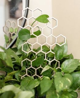 Växtstöd Honeycomb stor