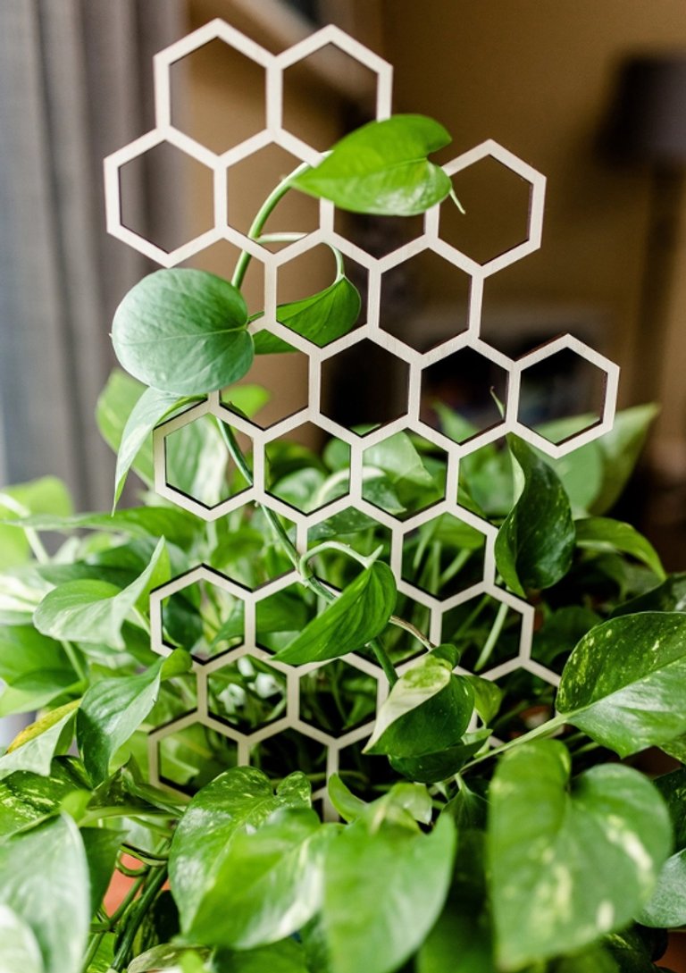 Växtstöd Honeycomb stor i trä