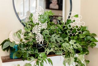 Växtstöd Honeycomb stor