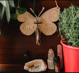 Sticklingsstation Fjäril