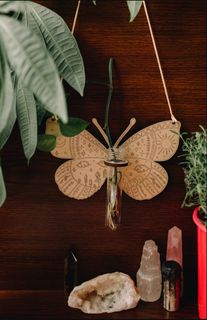 Sticklingsstation Fjäril