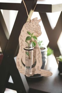 Sticklingsstation Katt