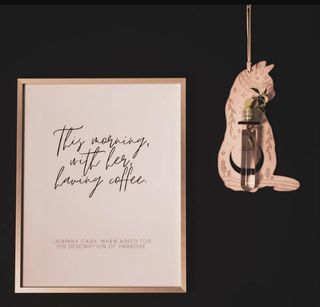 Sticklingsstation Katt