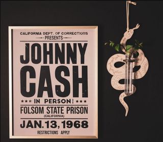 Sticklingsstation Orm