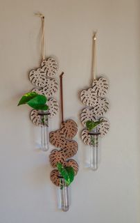 Sticklingsstation Monstera