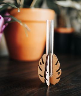 Sticklingsstation stående Monstera