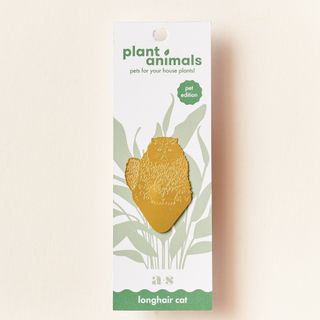 Växtdjur Katt långhårig