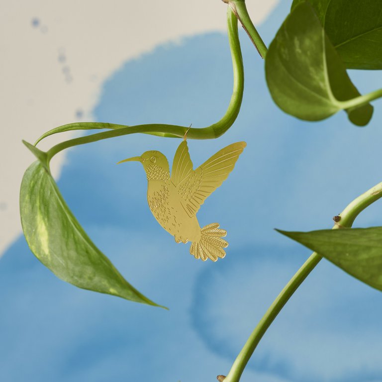 Växtdjur Kolibri