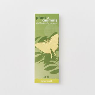 Växtdjur Nattfjäril