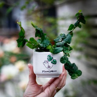 Minikruka Plant Mom