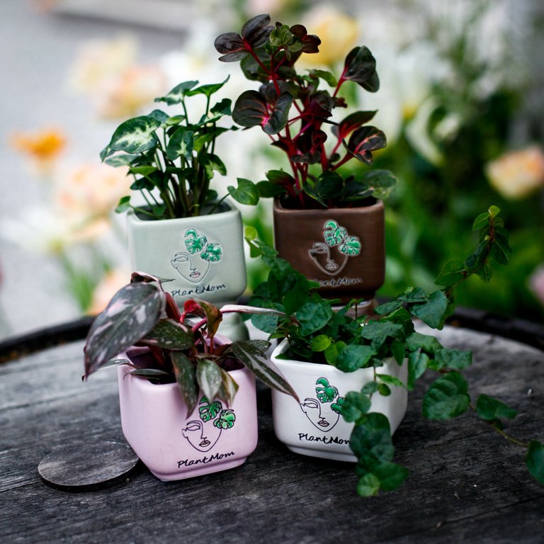 Minikruka Plant Mom 6 cm – Keramikkruka