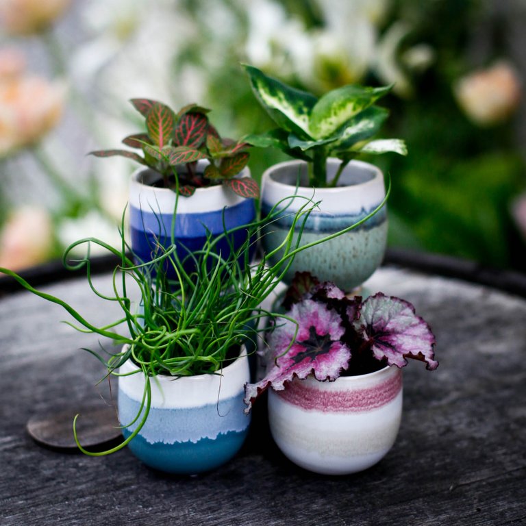 Minikruka Silva 6 cm – Keramikkruka