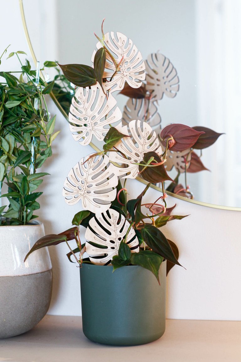 Växtstöd Monstera stor i trä