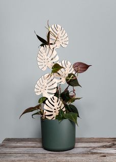Växtstöd Monstera stor