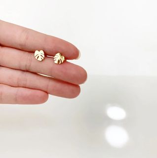 Örhängen Monstera Deliciosa blad