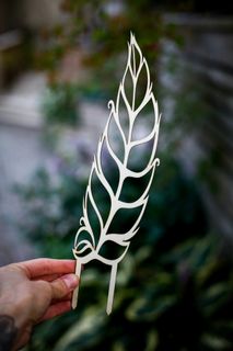 Växtstöd Monstera obliqua