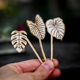 Stickling/eteriska oljor station monstera